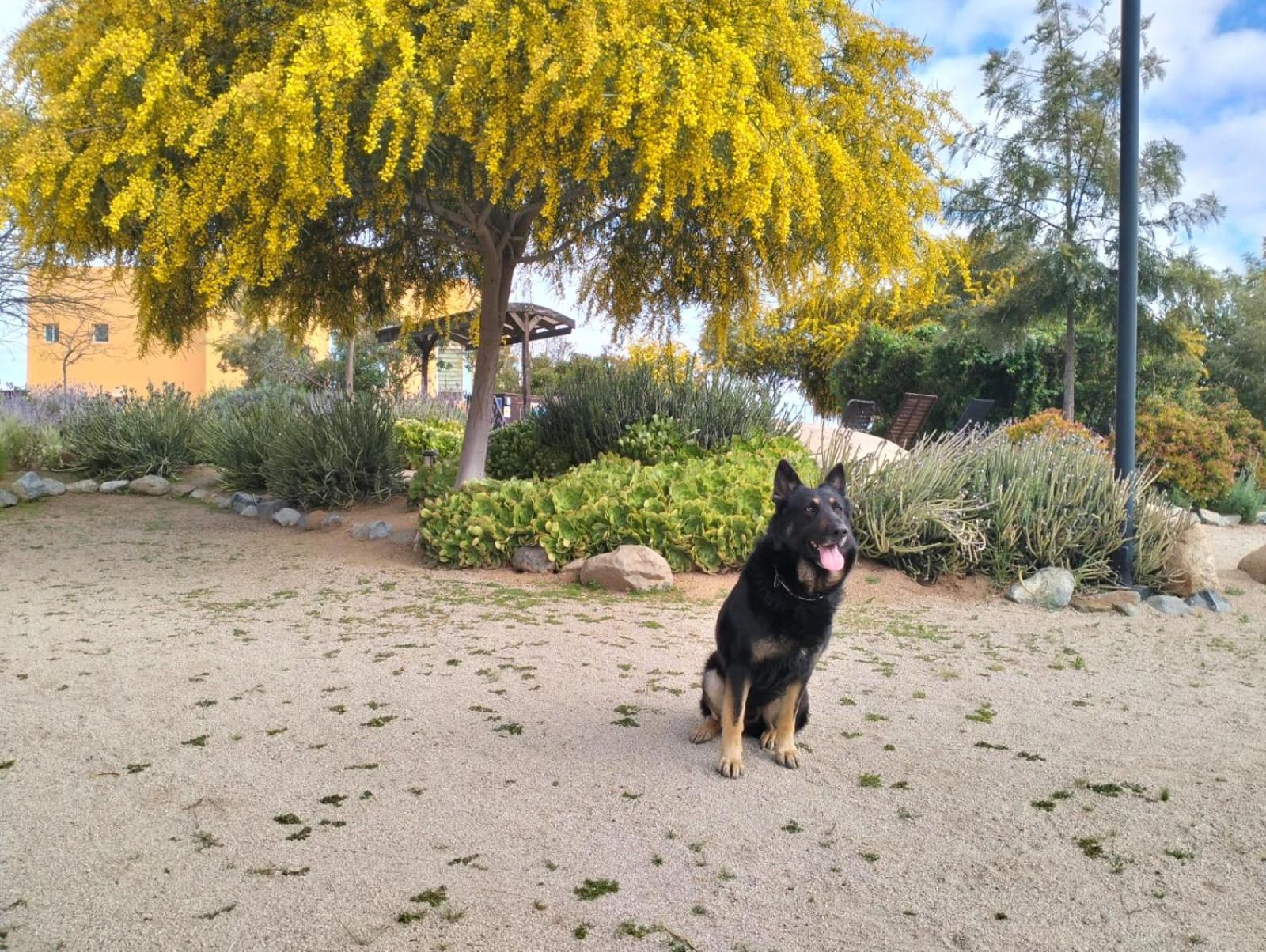ホテル Quinta Lorame Villa de Juarez エクステリア 写真